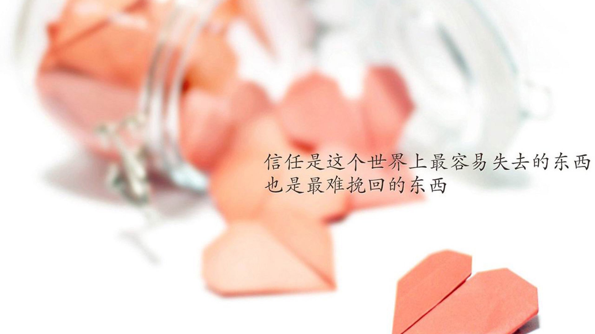 开云官方-_日落马拉松：夕阳下的运动浪漫_，落日马场骑羊
