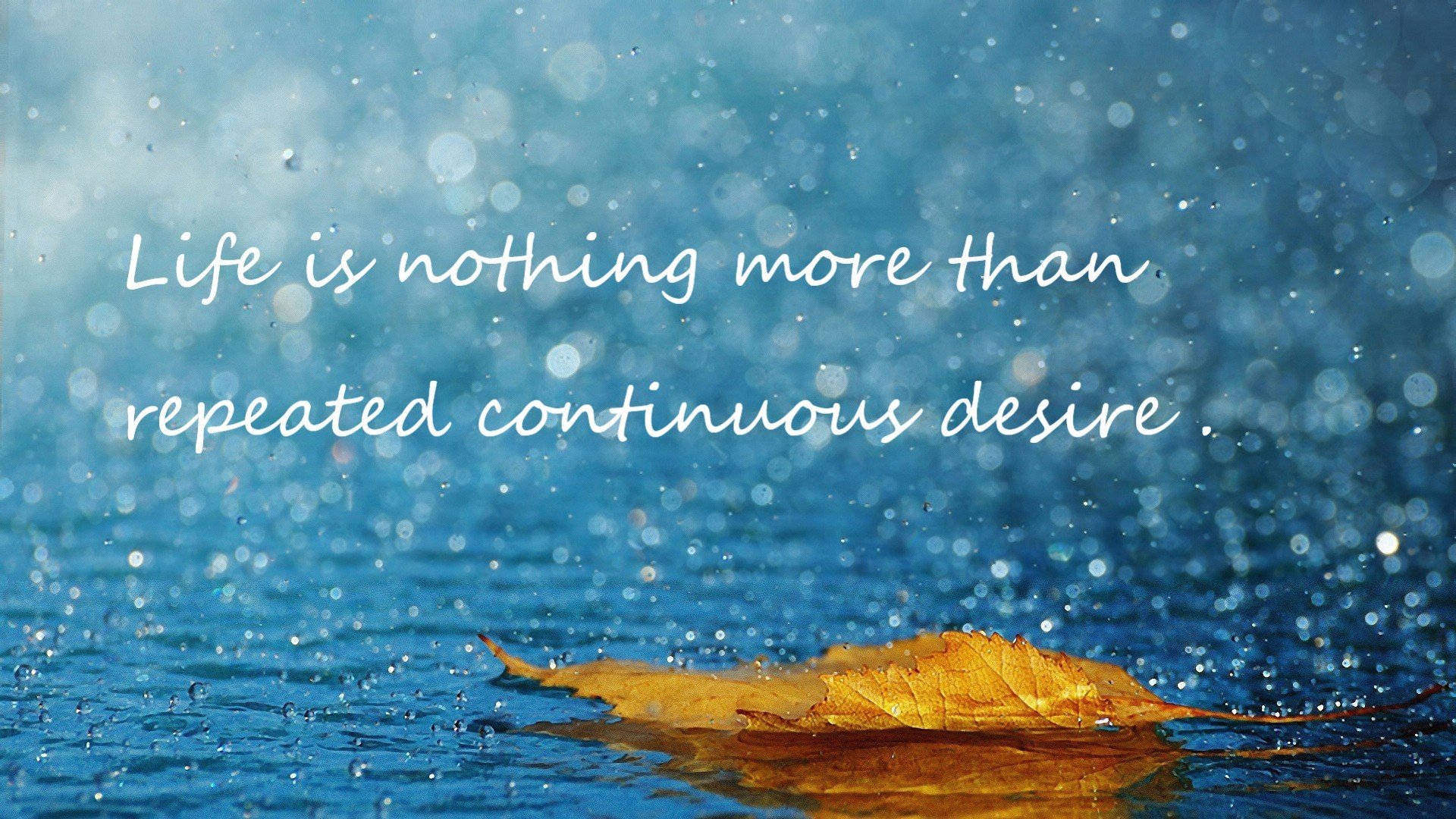 开云·体育官网-“中超俱乐部增设青训队伍，丰富梯队建设”，中超青训大户