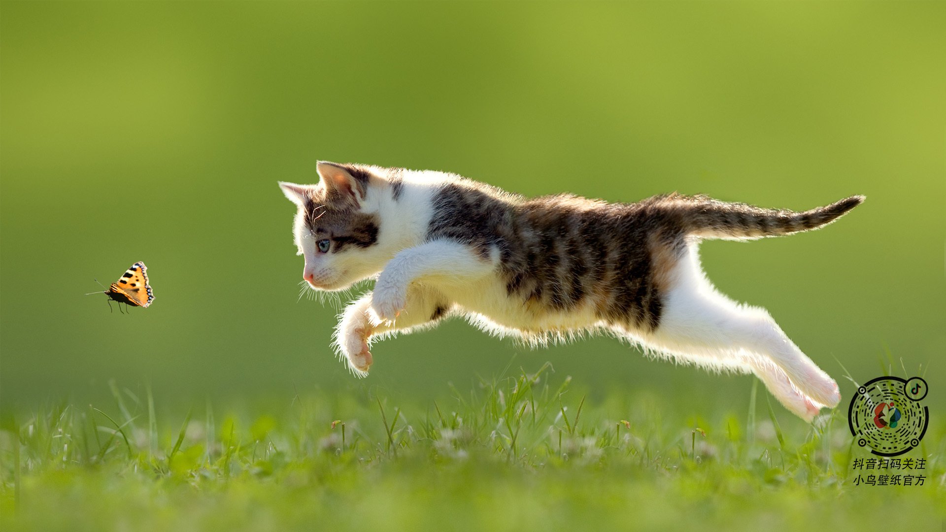 《《使命召唤》系列新作“暗影突击”火爆上线》，使命召唤暗影部队