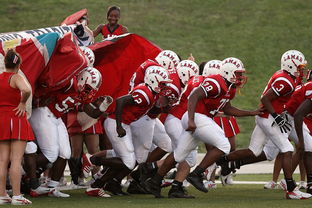 开云入口-76人球队文化墙正式揭幕展示历史荣誉，76人队图案